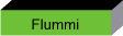 Flummi